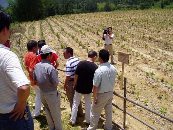 µã»÷д°¿Ú·¿ª´óͼ