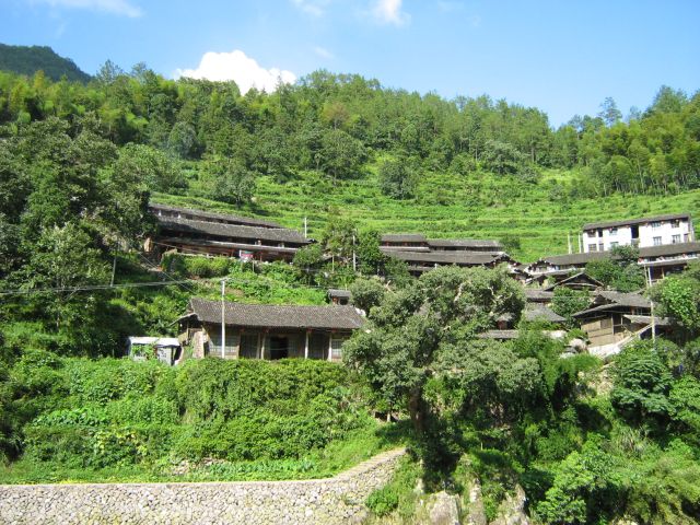 点击新窗口翻开大图