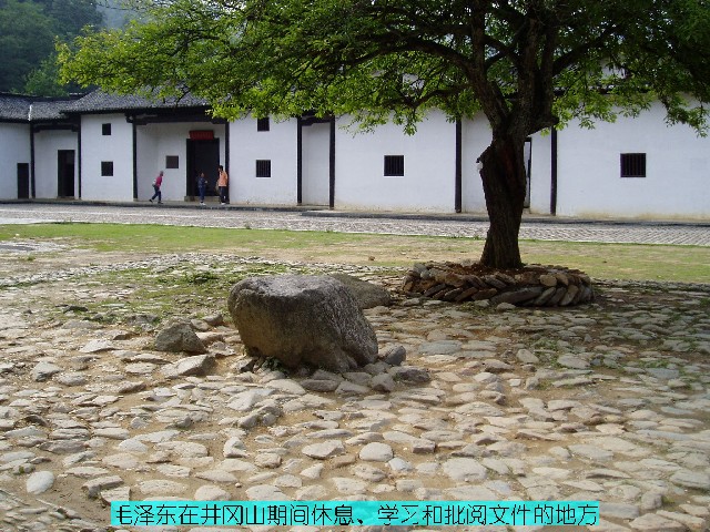 点击新窗口翻开大图