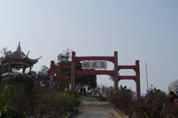 ����´��ڷ�����ͼ